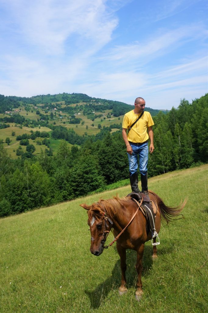 Ilijina ergela konja, Pavino Polje