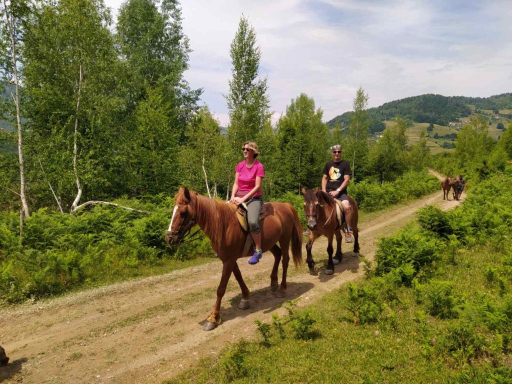 Ilijina ergela konja, Pavino Polje