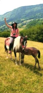 Ilijina ergela konja, Pavino Polje