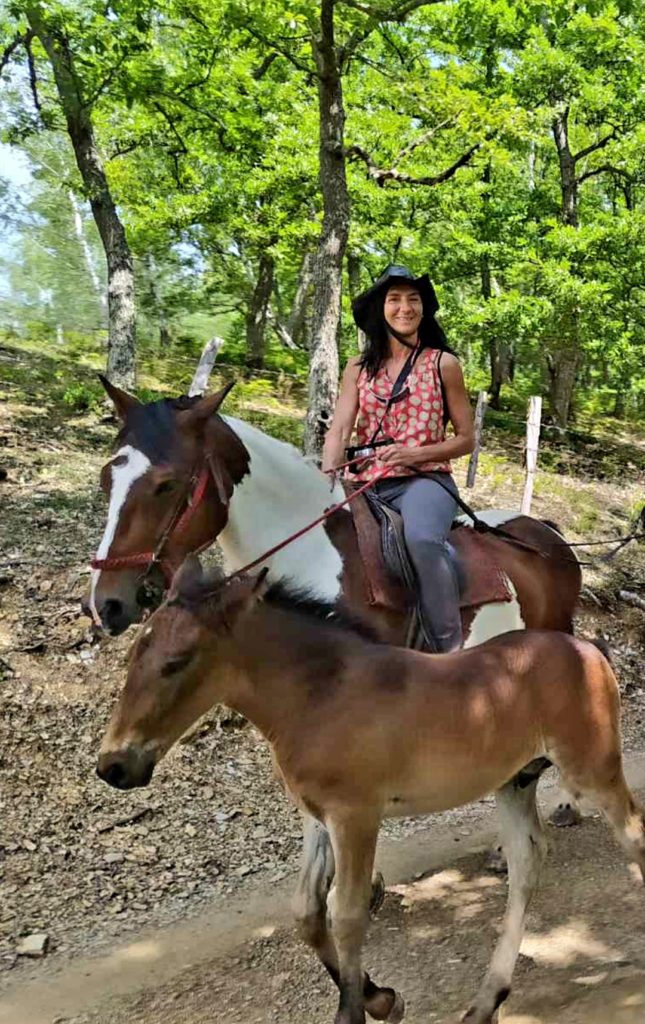 Ilijina ergela konja, Pavino Polje