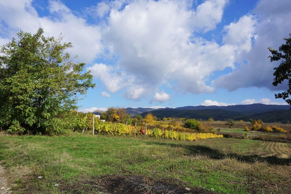 MTB maraton Vlasotince 2021