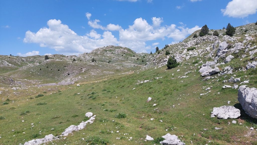 Sinjajevina