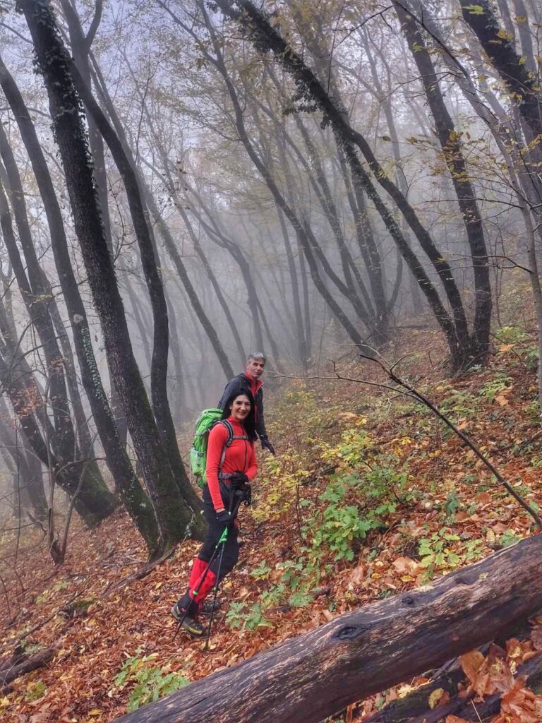 Planina Jelica u jesen