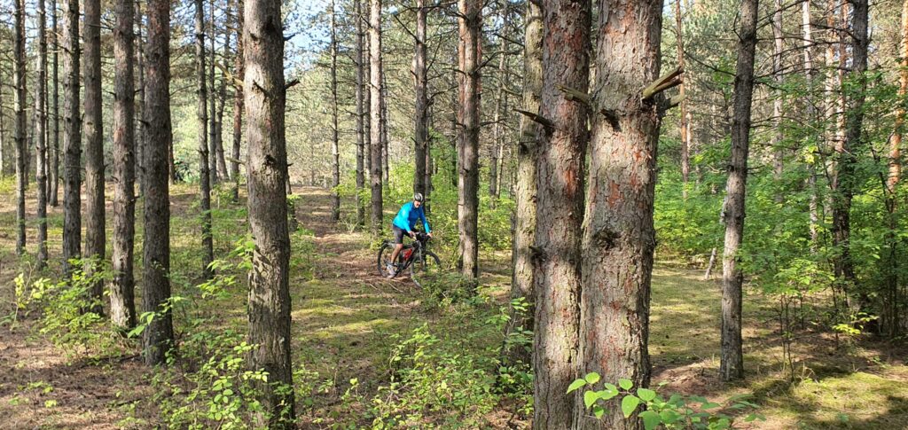 I MTB maraton Subotičkom pešćarom; foto: RBS