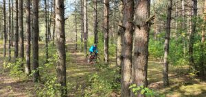 I MTB maraton Subotičkom pešćarom; foto: RBS