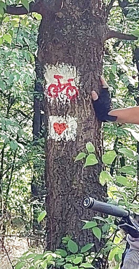I MTB maraton Subotičkom pešćarom
