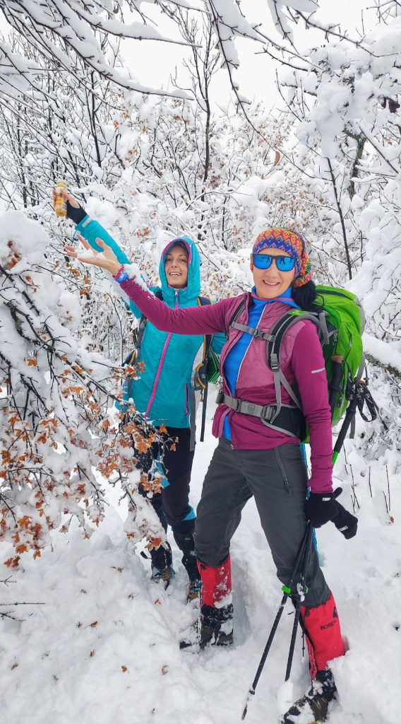 Mali rtanjski vrhovi