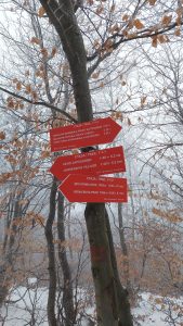 Putokazi koje su postavili planinari PSK "Kukavica" iz Leskovca