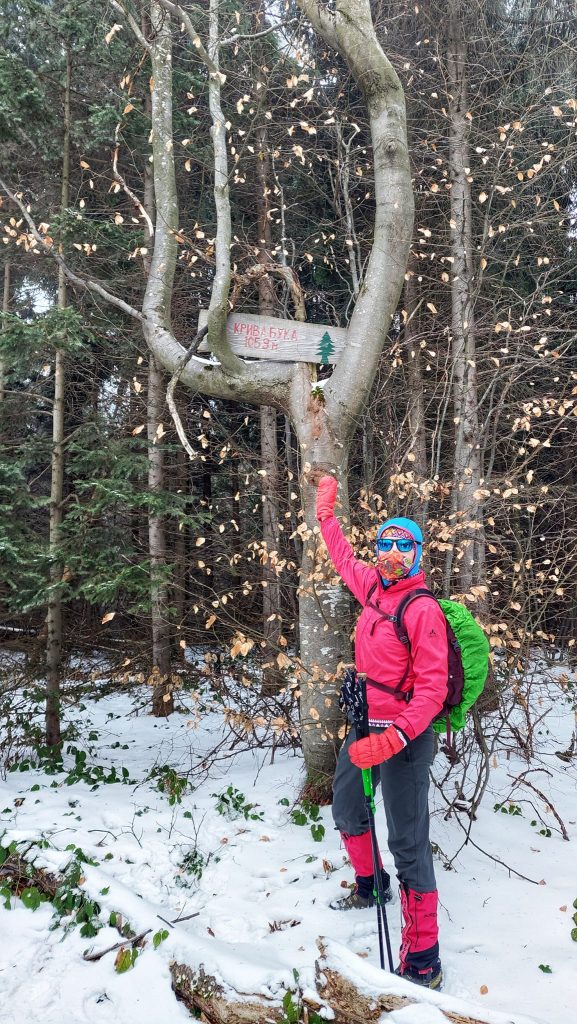 Na vrhu Kriva buka - Babička gora
