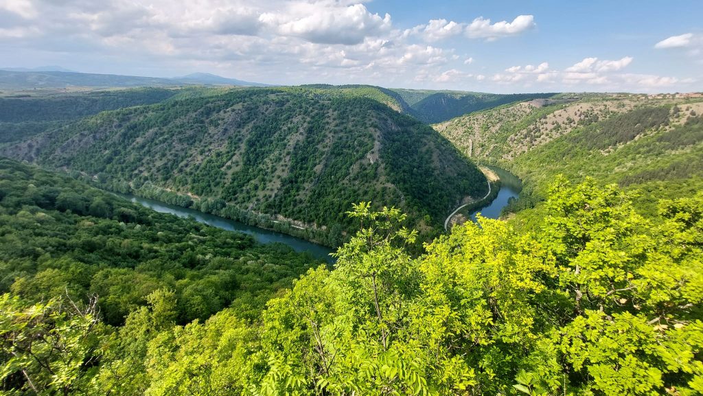 Meandri Timoka