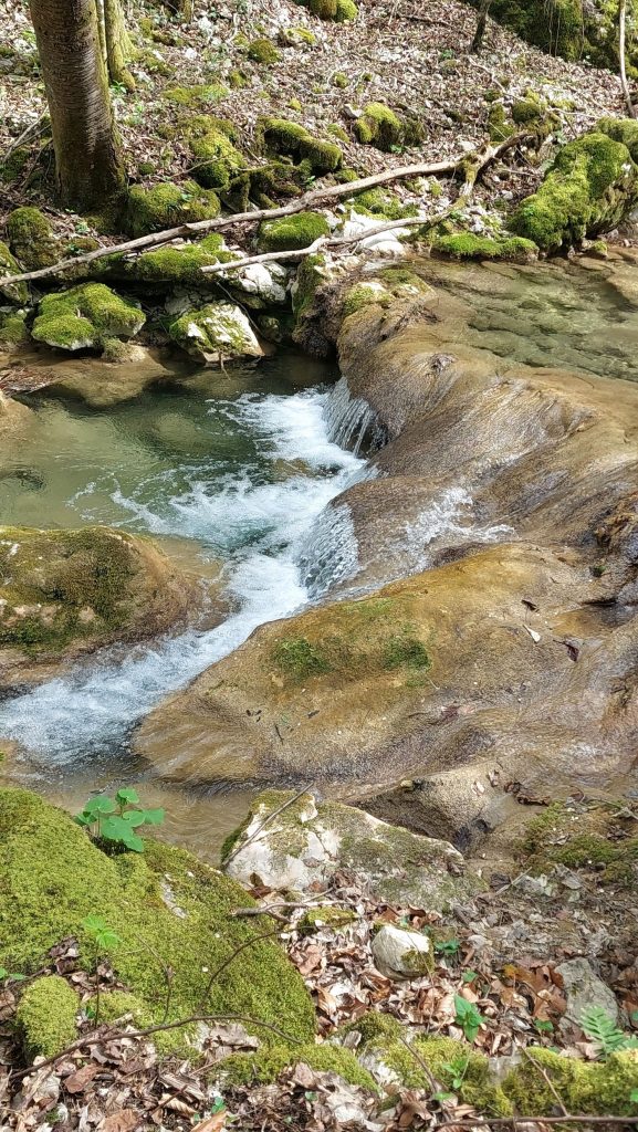 Kaskade na Vičiničkoj reci