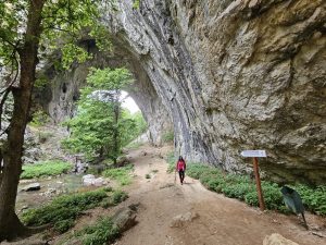 Velika prerast u kanjonu Vratne (Istočna Srbija)