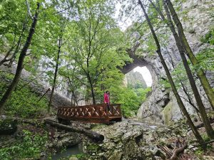 Velika prerast u kanjonu Vratne (Istočna Srbija)