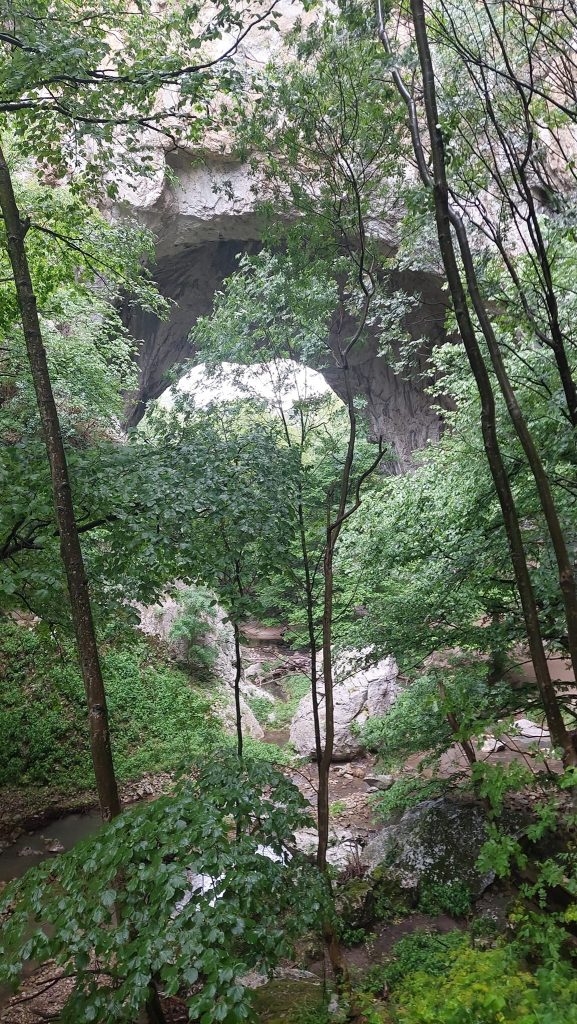Mala prerast u kanjonu Vratne (Istočna Srbija)