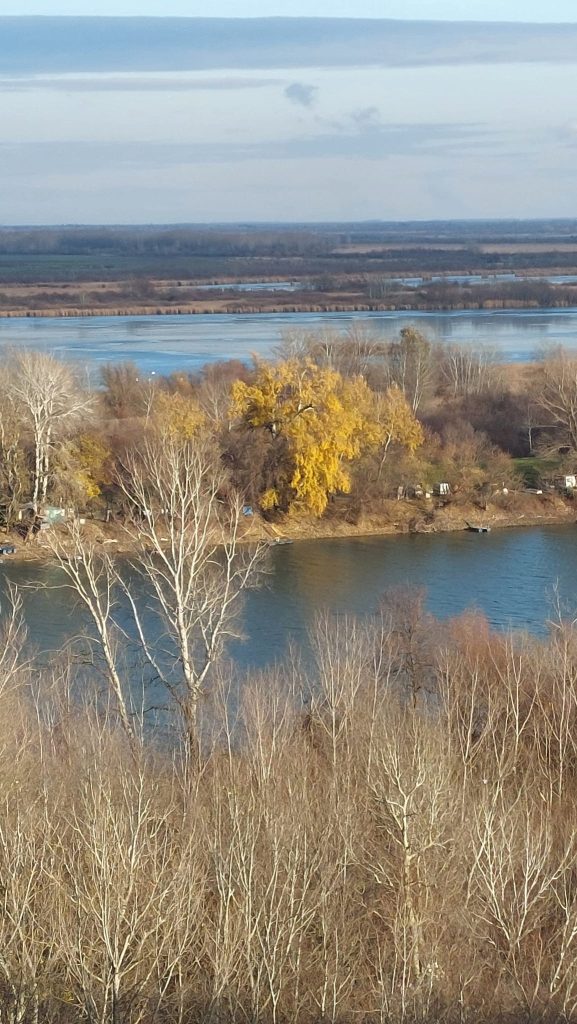 Tisa - pogled sa Titelskog brega