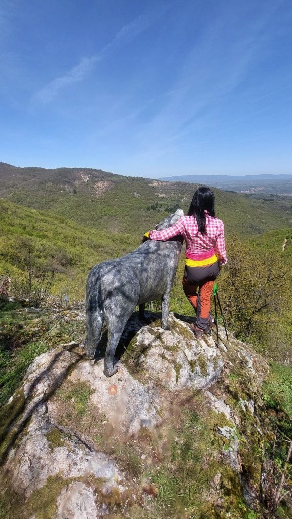 Statua vuka - vidikovac na Šupljem kamenu, planina Pasjača