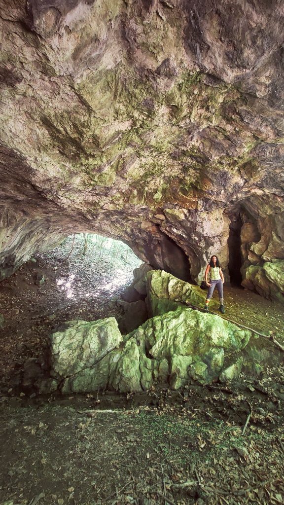 Medveđa rupa - prerast Gaura Ursului 